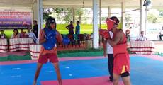 Wushu championship begins