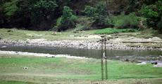 Sangti - the valley of Tibetan Crane