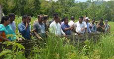 8 Pygmy Hogs restored in Barnadi WLS