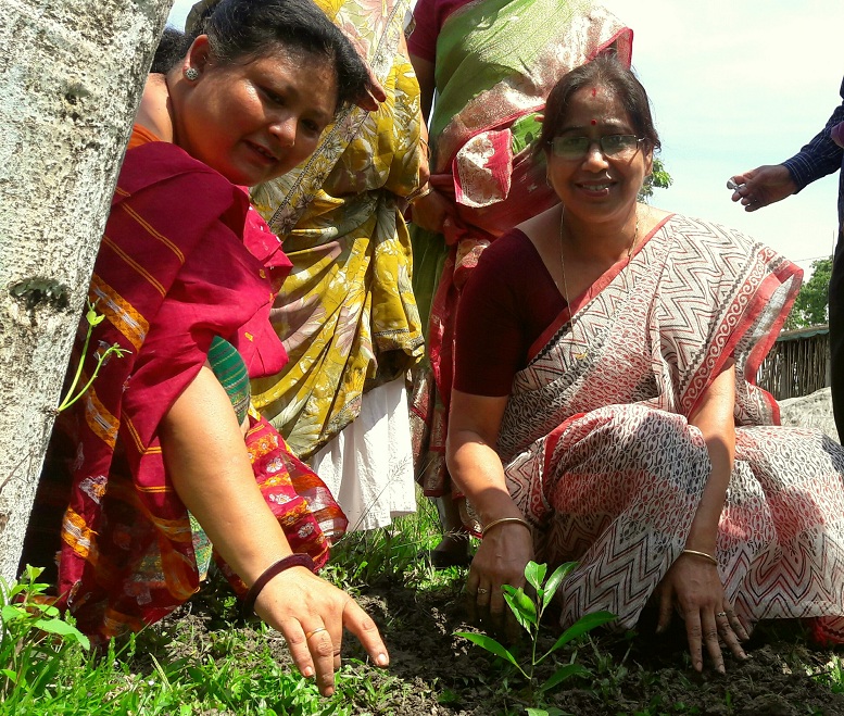 World Environment Day celebrated with great enthusiasm