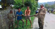 Python rescued in Namrup