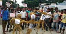 Modi-Sonowal’s effigy burnt
