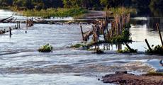 Flood claims six more lives in Assam
