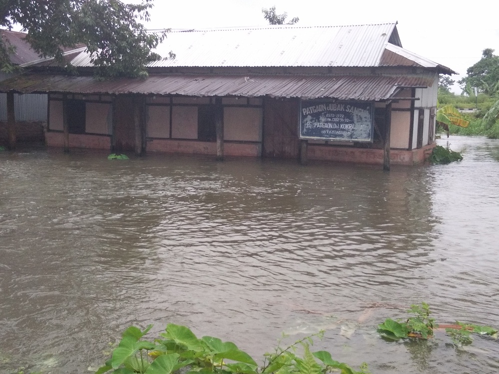 Flood woes in Patgaon