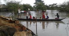 Flood fury taking grim turn