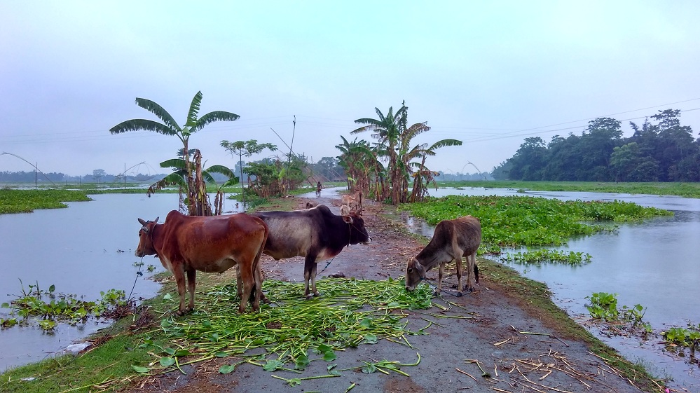 EHA completes Phase II of Assam Flood Relief