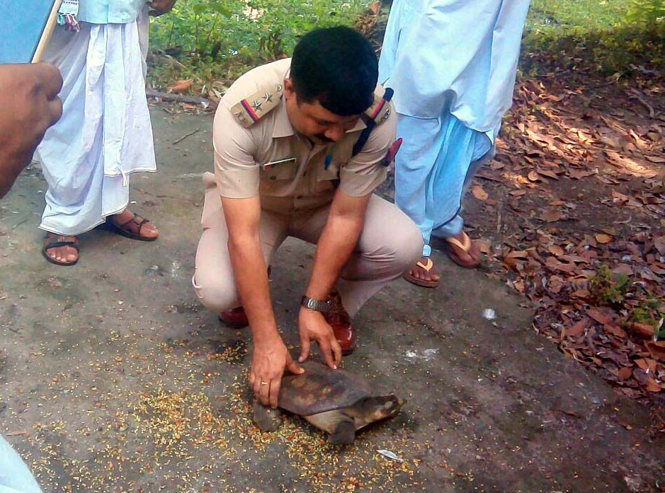 Rare tortoise rescued at Batadrava