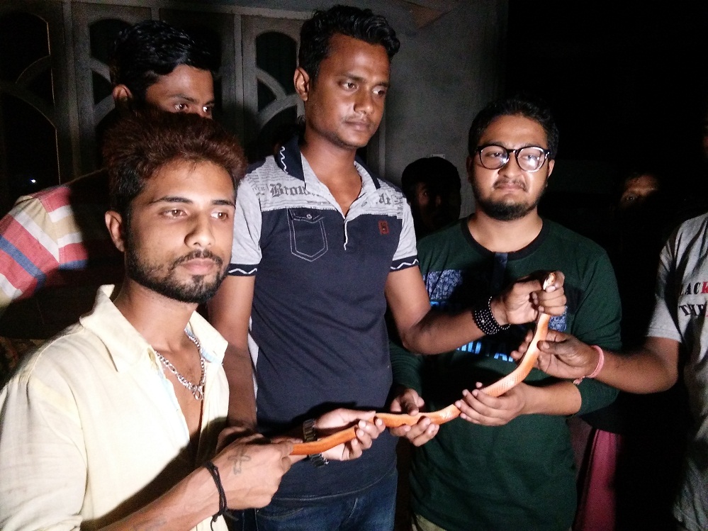 Snake rescued in Kokrajhar