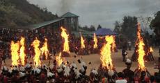 Here comes hornbill fest again
