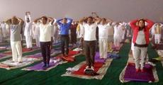Free yoga camp concludes with huge response
