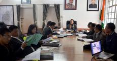Set up bamboo plants: Zeliang to investors