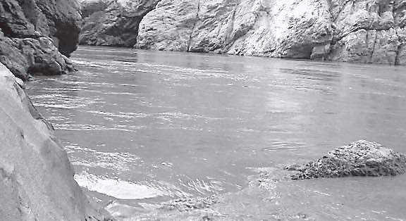 Siang water not fit for consumption