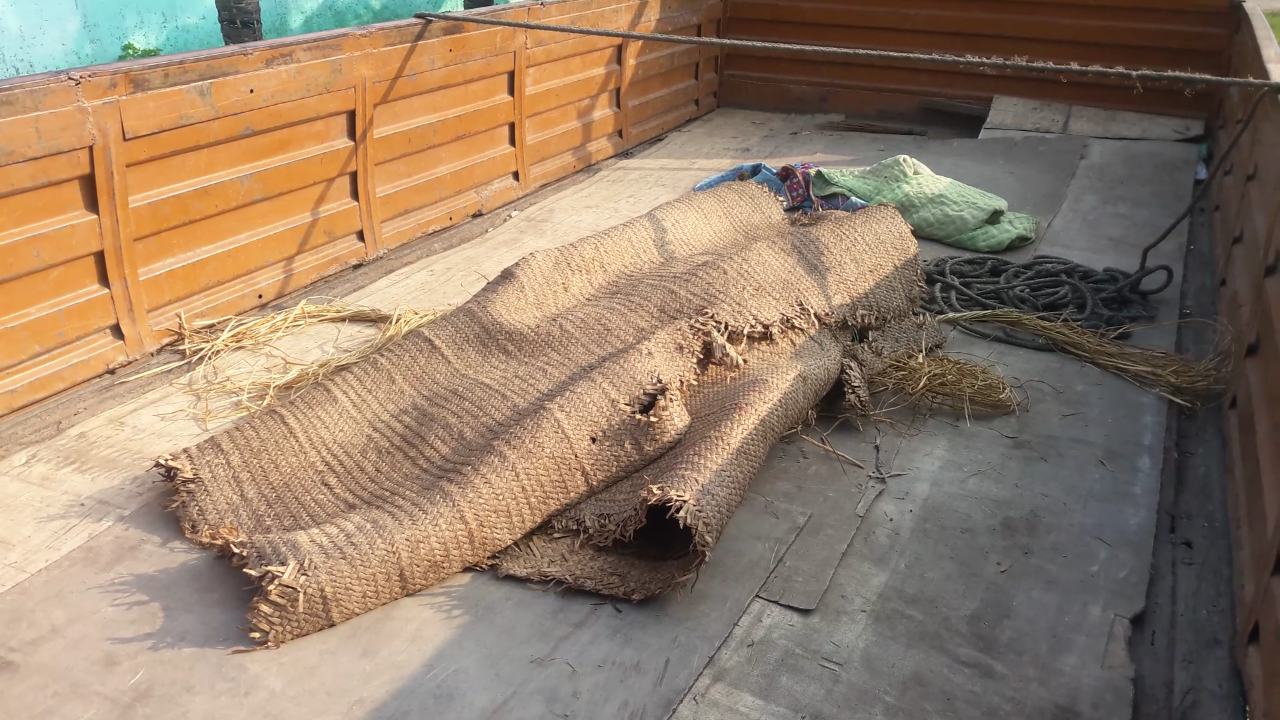 Elephantine menace: 1 killed in Udalguri