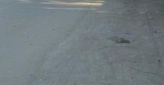 Assam bandh hits normalcy