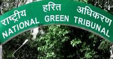 NGT directive to Centre on panel of experts