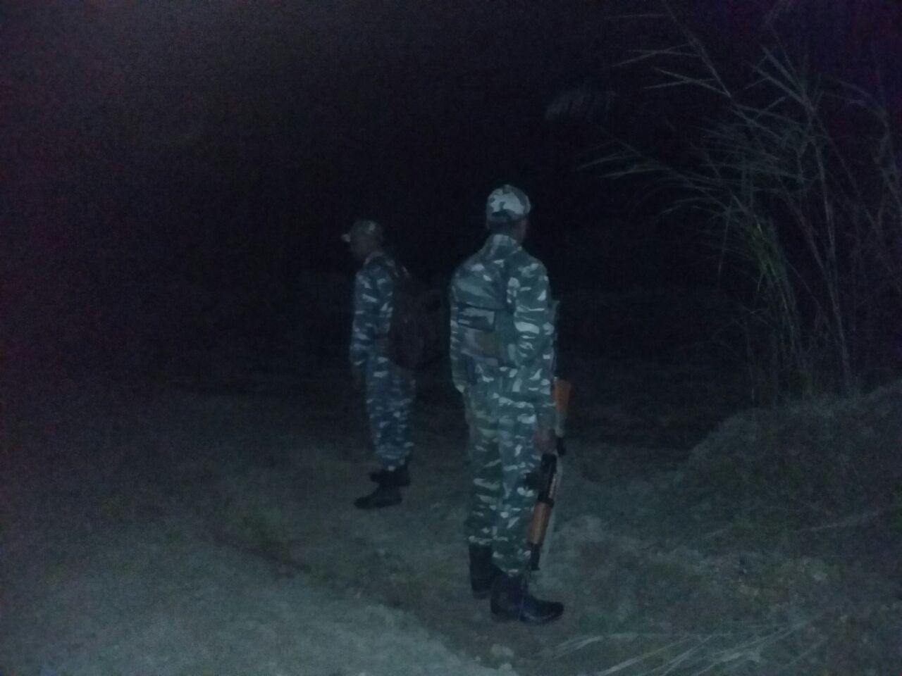 Massive operation in Tinsukia jungles