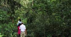 Tourists killed in road mishap