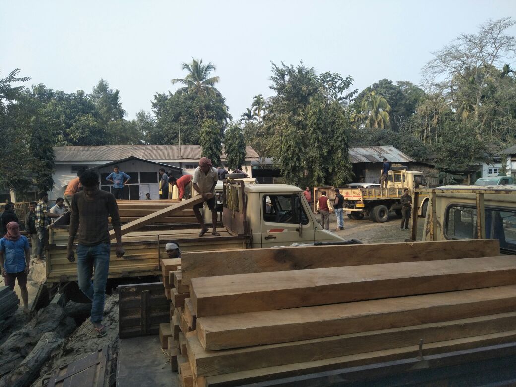 Illegal wood seized in Dhekiajuli