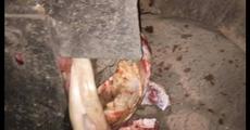 Jumbos crushed to death by train