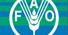 World food scarcity and the challenges of climate change and bio energy