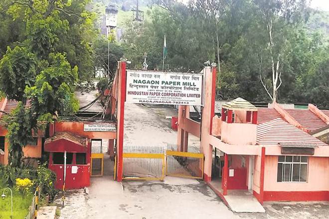 Will privatization end paper mill woes?