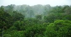 Hint of advanced rainfall in Assam