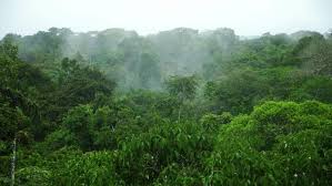 Hint of advanced rainfall in Assam