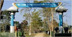 Gunfight in Kaziranga: poacher killed