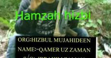 Hojai youth joins Hizbul Mujahiddin!