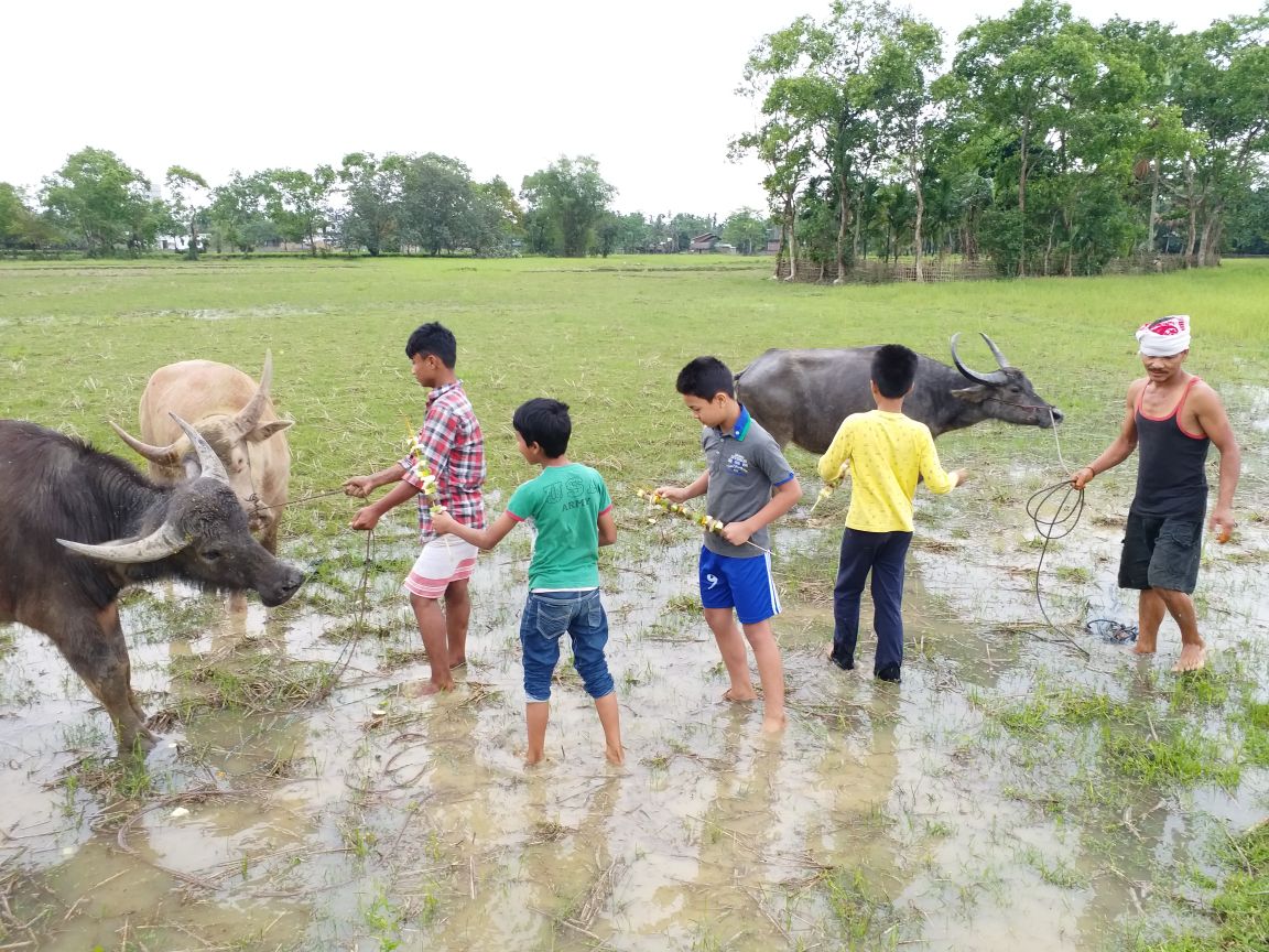 Share the joy of Goru Bihu