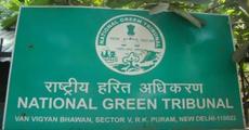 Setback for Centre: NGT for fresh panel to study megadam