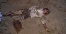 Villager dead in elephant attack