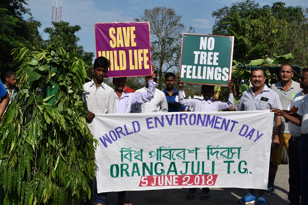 Orangajuli Tea garden celebrates World Environment Day celebration