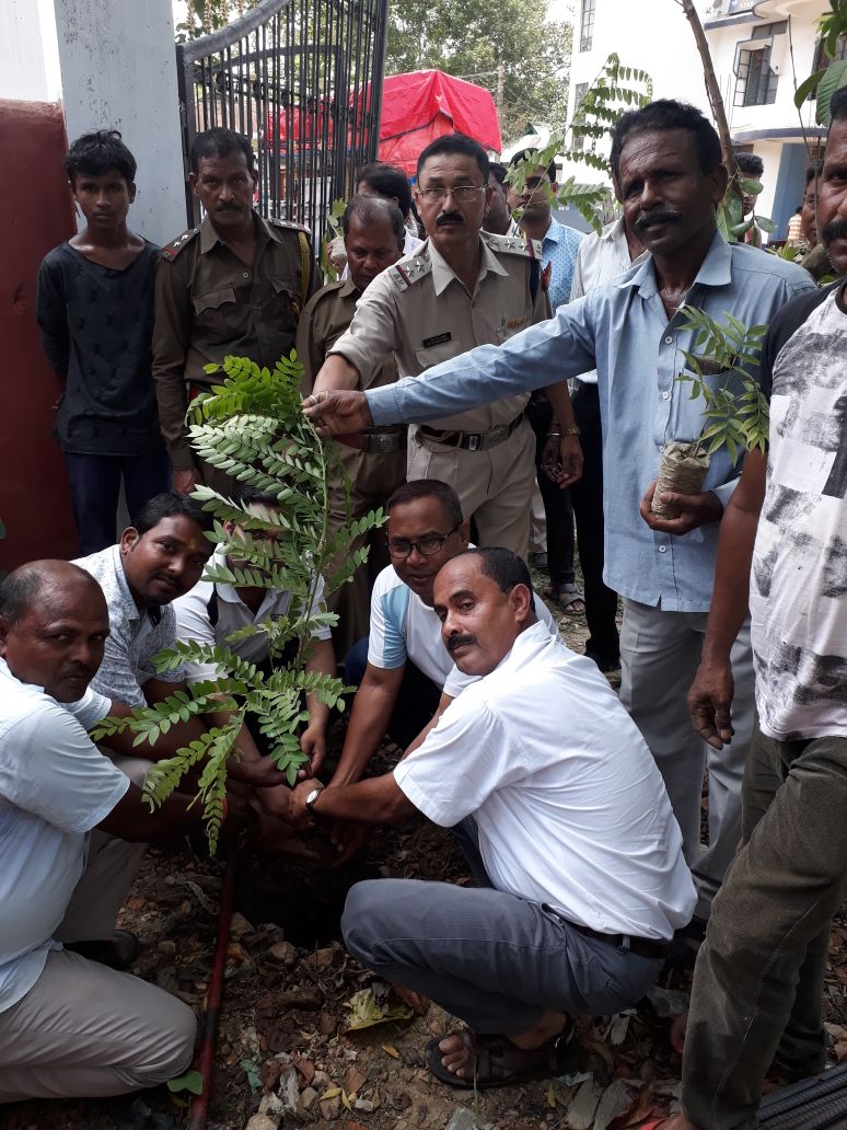 World Environment Day Observed in Hojai