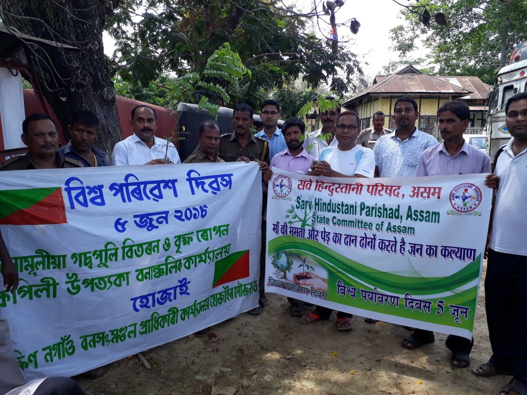 World Environment Day Observed in Hojai