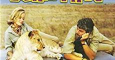 Born Free to screen at Guwahati Press Club