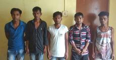 Gang of petty thieves apprehended