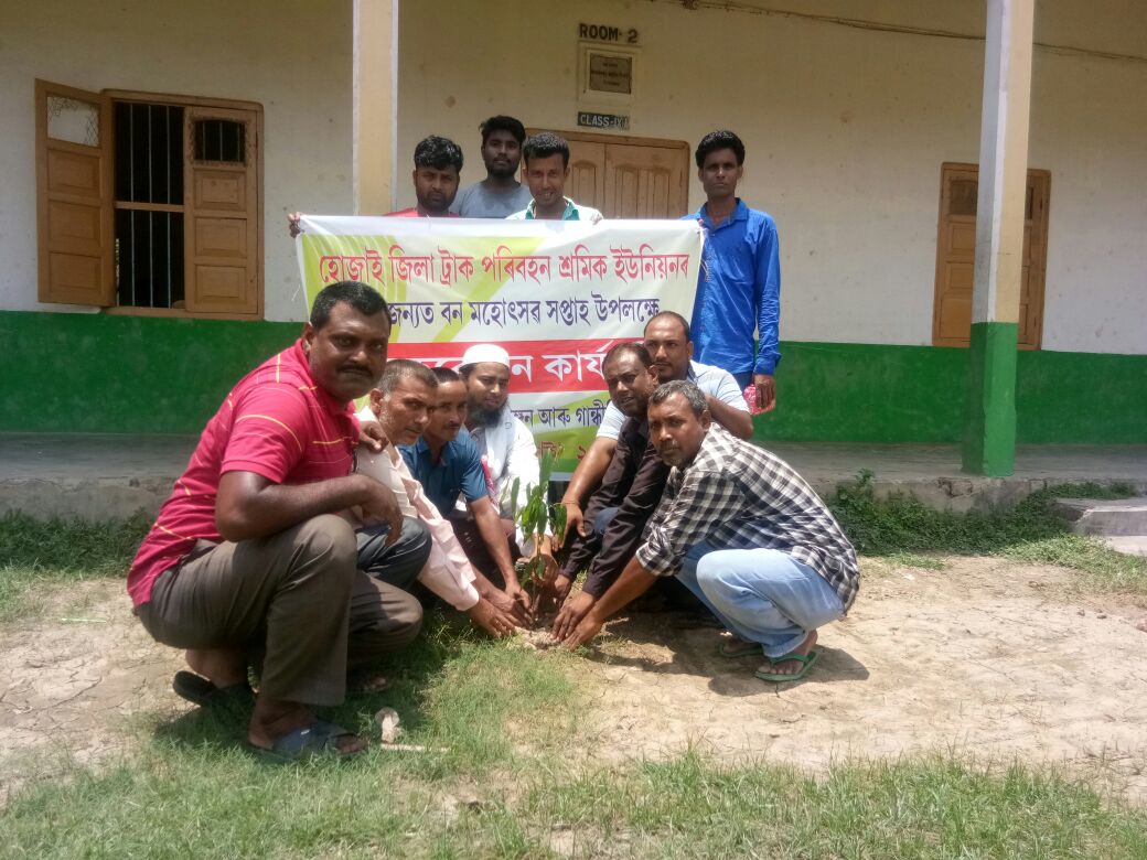 Transport Union plant trees in Hojai.