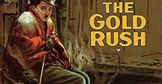 Gold Rush for press club screening