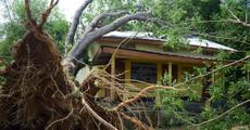 Ravaging storm revisits