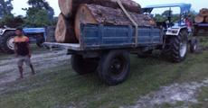 Sal logs seized