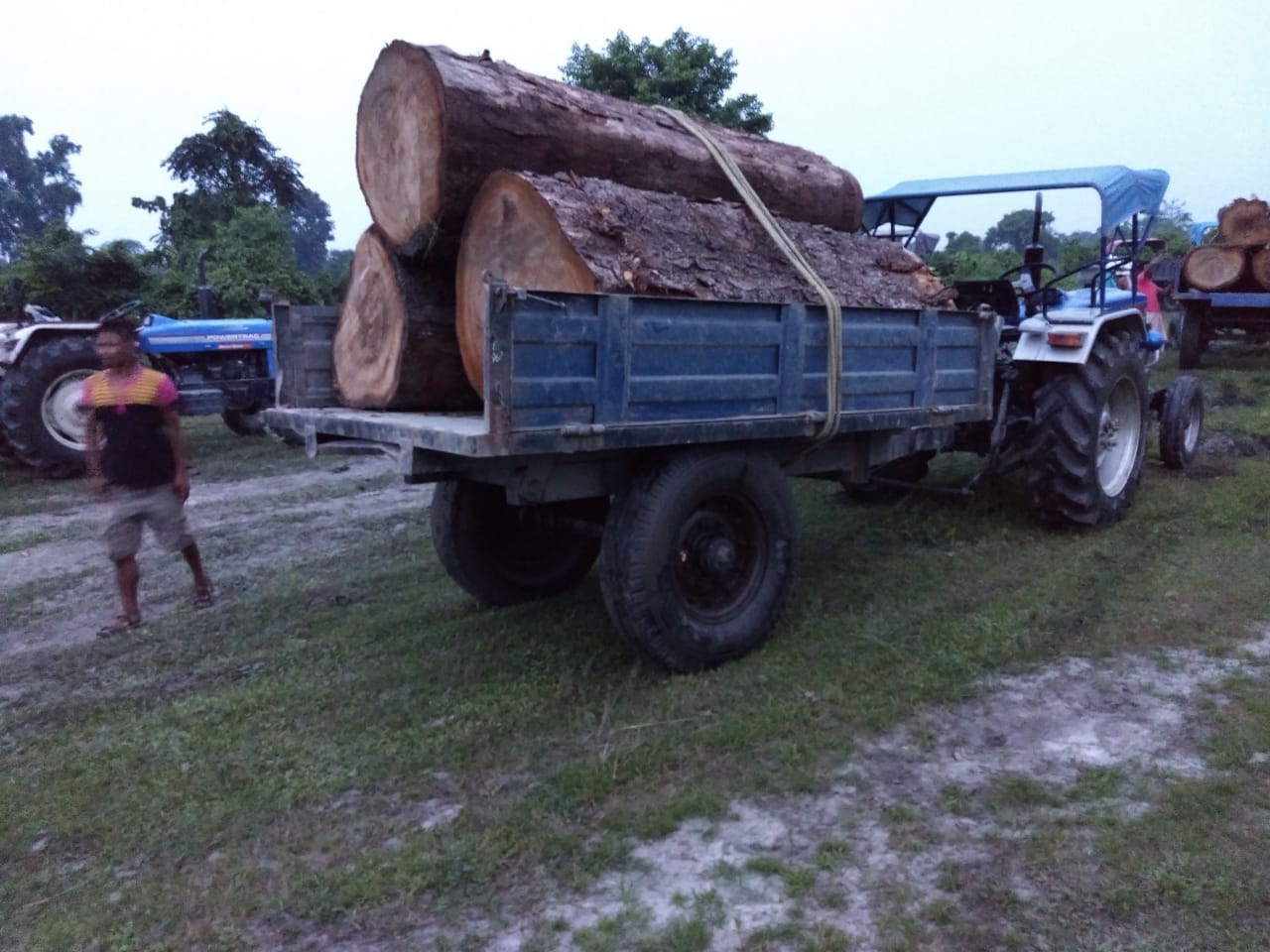 Sal logs seized