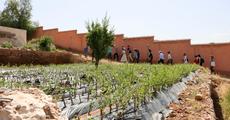 In Morocco difference is a strength
