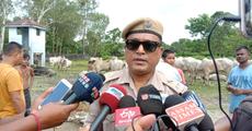 Five arrested for carrying cattles illegally
