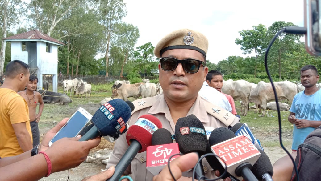 Five arrested for carrying cattles illegally