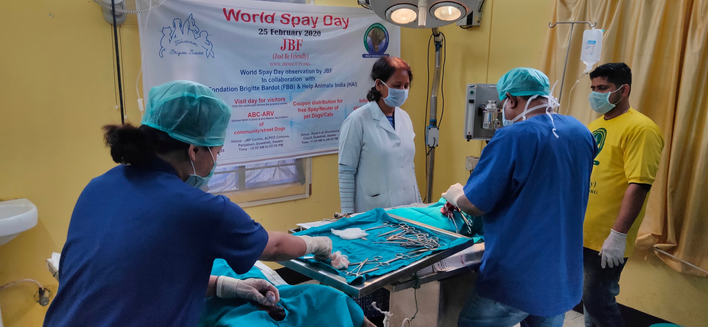 World Spay Day Observed