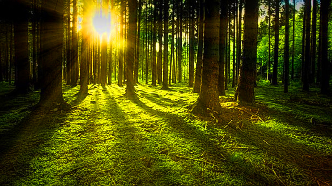 Don’t Panic: Transform Self-Quarantine to your graceful spiritual retreat