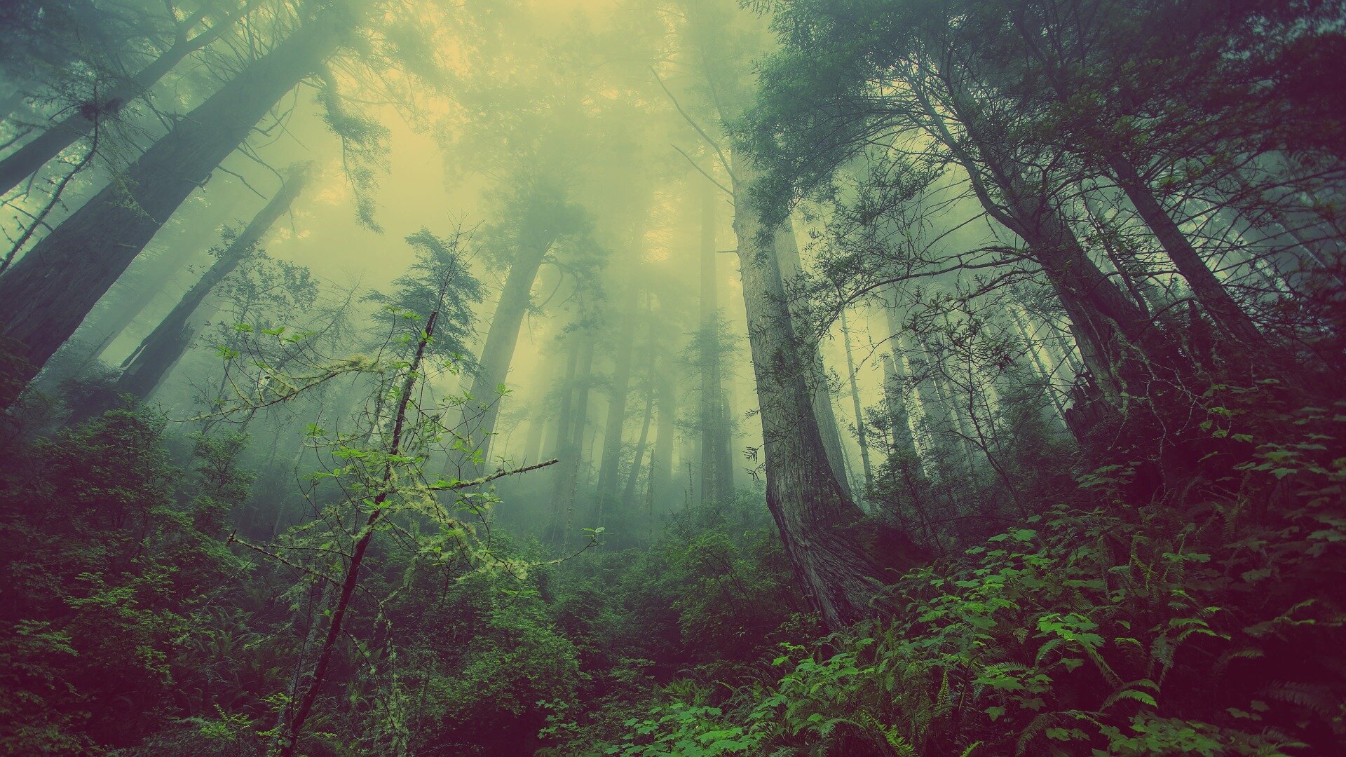 Transform Self-Quarantine to your graceful spiritual retreat