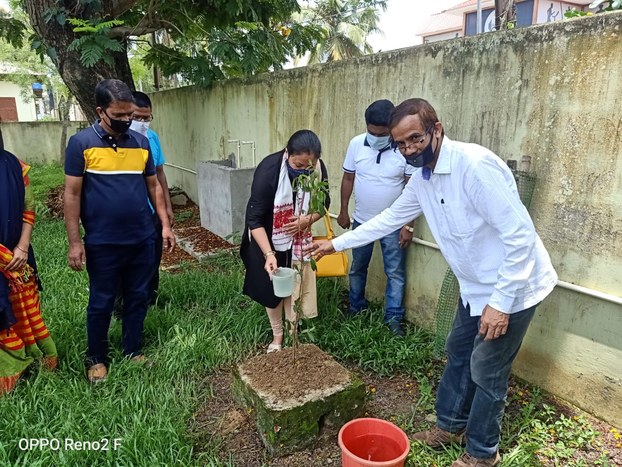 Hojai DLSA observes World Environment Day 