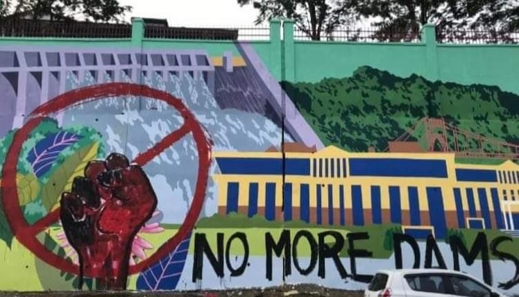 Artist picked up for anti dam paintings